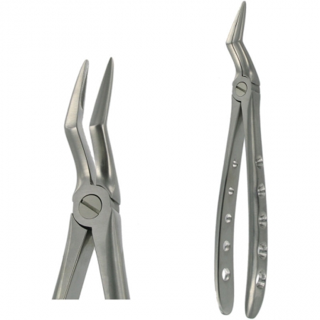 American Pattern Forceps