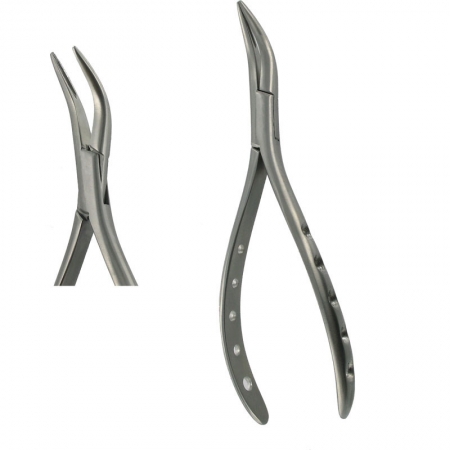 American Pattern Forceps