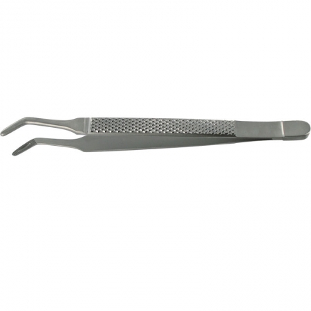 American Pattern Forceps