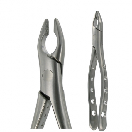 American Pattern Forceps