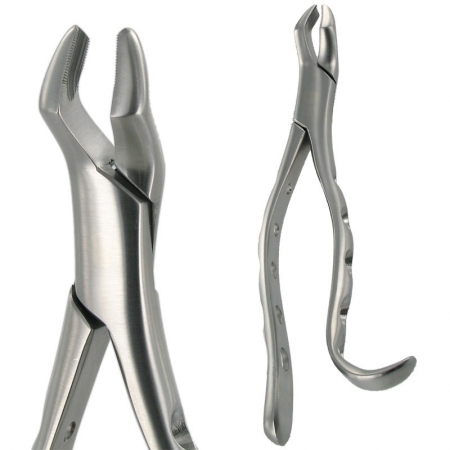 American Pattern Forceps