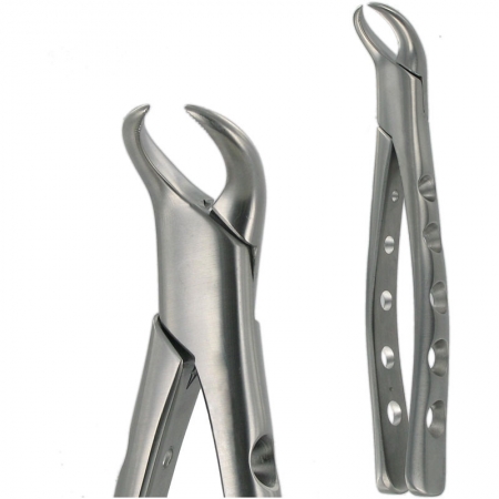 American Pattern Forceps