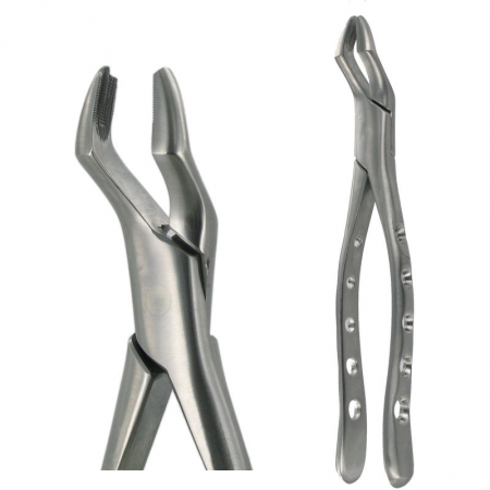 American Pattern Forceps