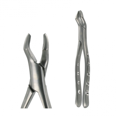 American Pattern Forceps