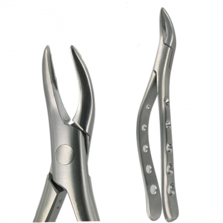 American Pattern Forceps