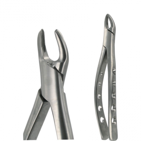 American Pattern Forceps