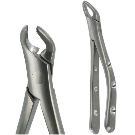 American Pattern Forceps