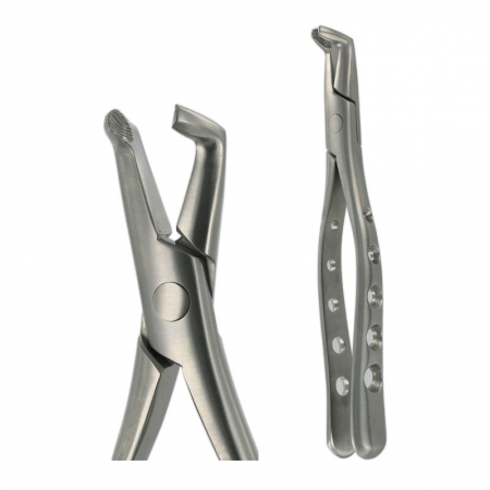 American Pattern Forceps