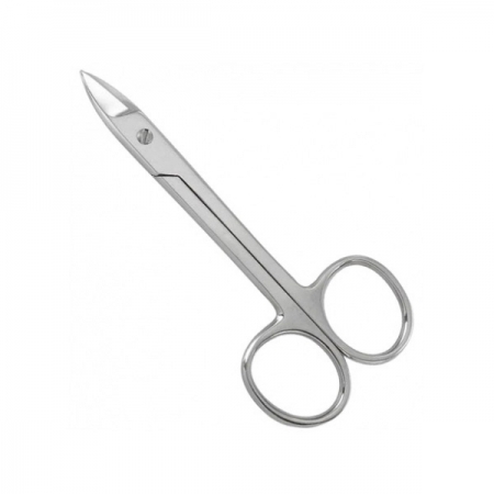 Common Scissors