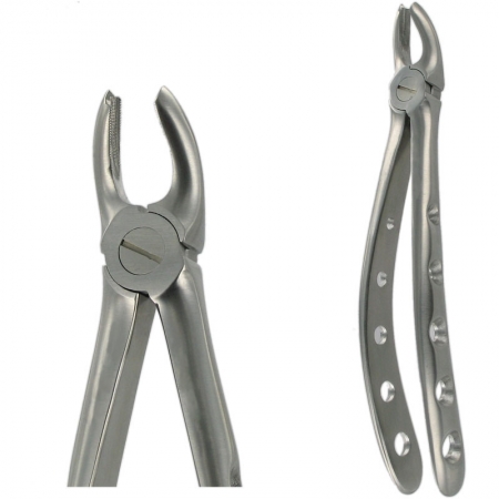 American Pattern Forceps