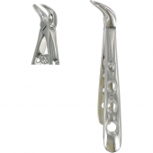 Wisdom Teeth Extracting Forceps